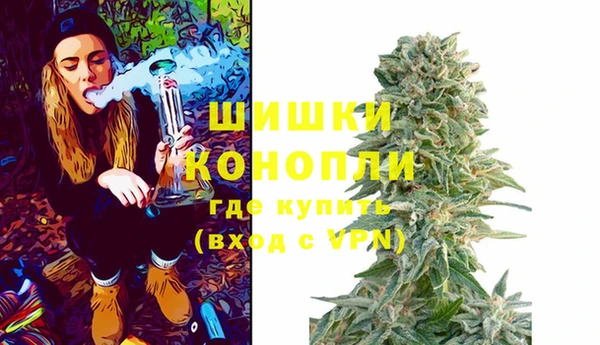 мяу мяу мука Аркадак