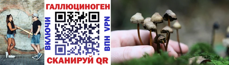 Галлюциногенные грибы Magic Shrooms  купить закладку  Суворов 